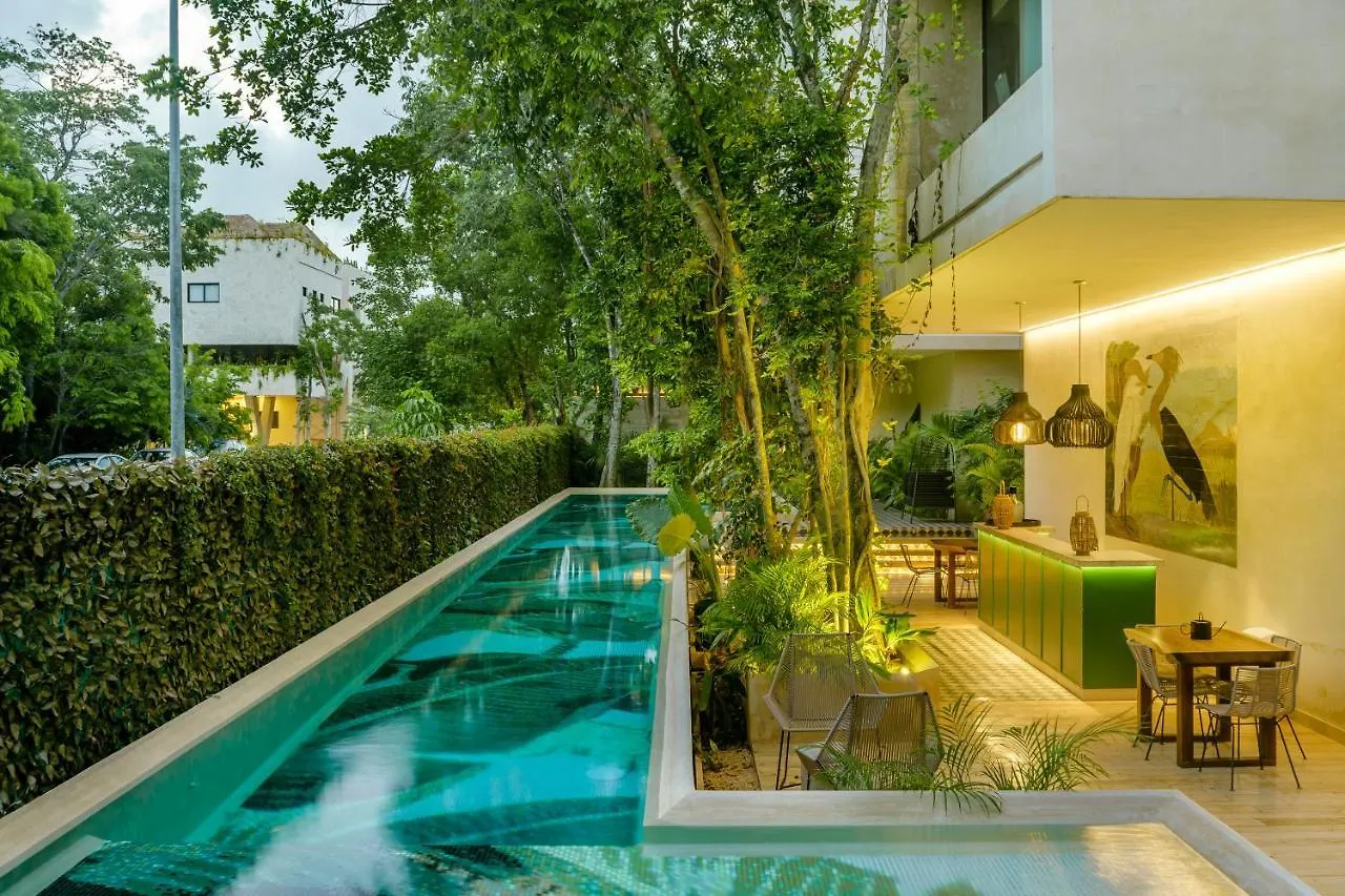 102-104 Amazing Private Pool And Fully Equipped Apartment Tulum