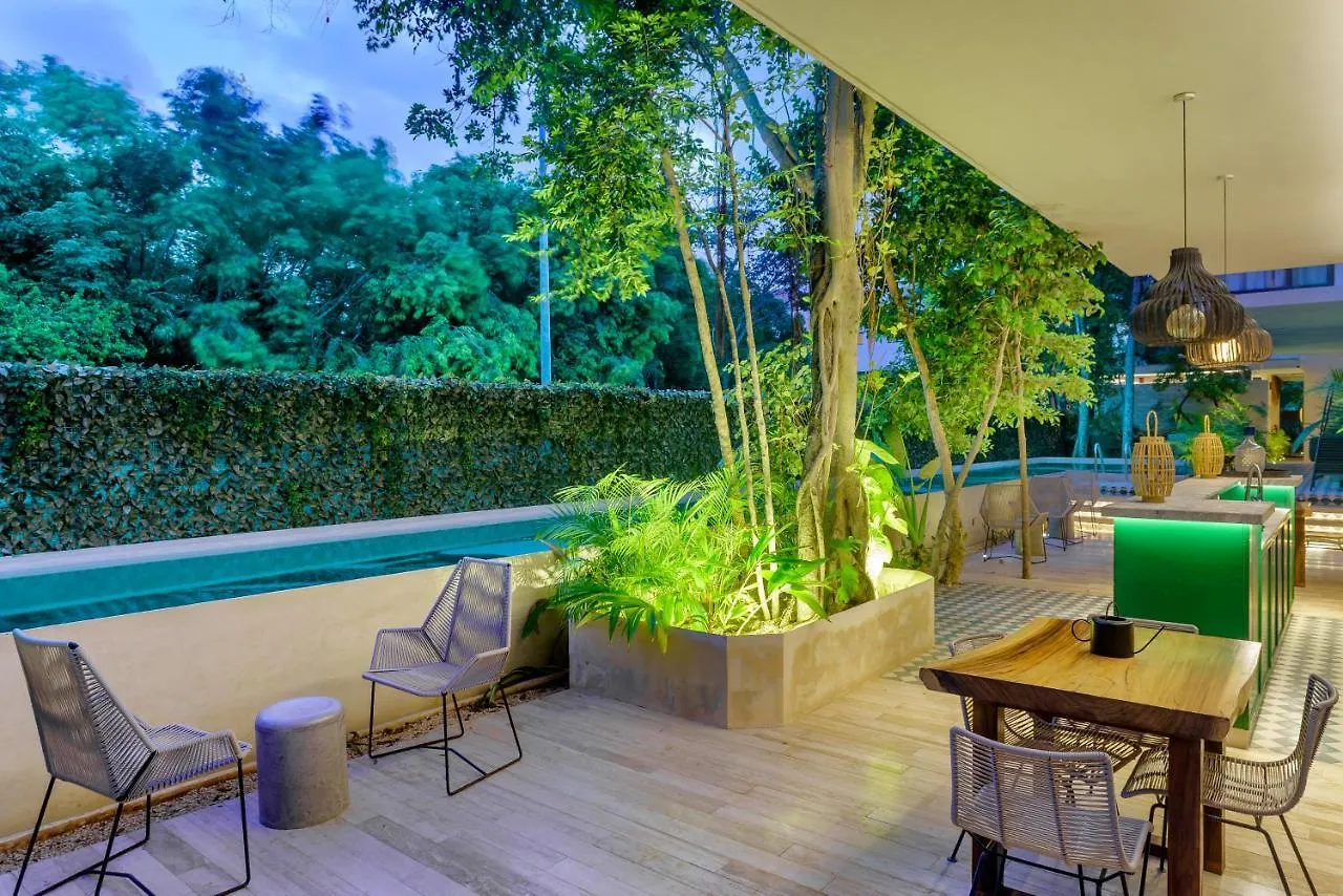 102-104 Amazing Private Pool And Fully Equipped Apartment Tulum Meksyk